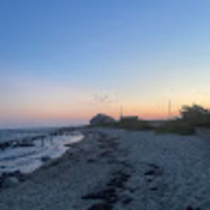 Meet your Posher, Hayden